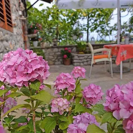 In 36494 * Veli Lošinj